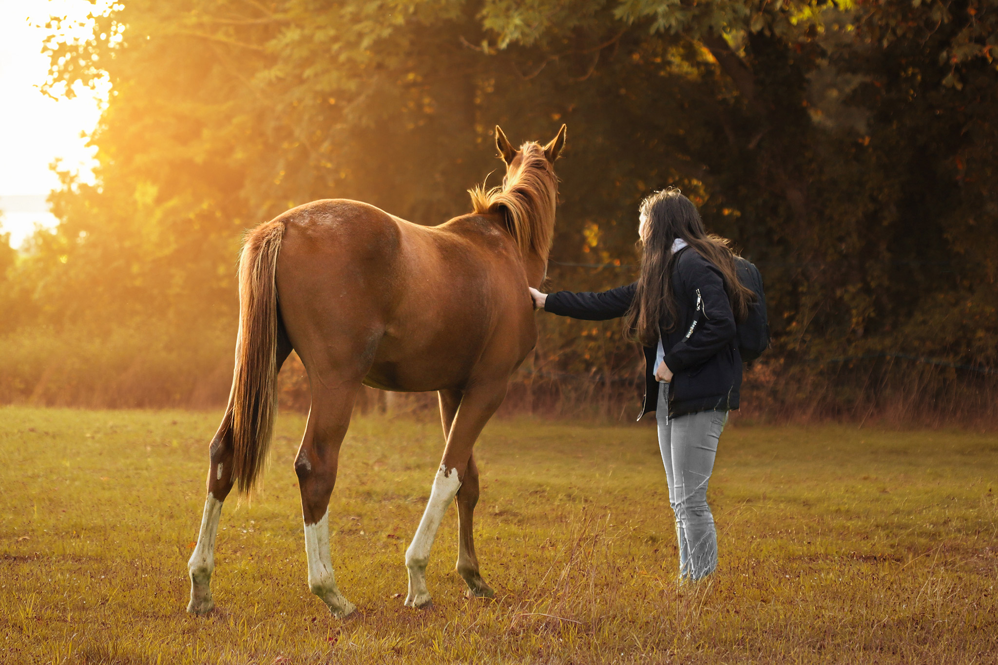 Sandra, photographe Only Art Photographie lors d’une séance avec un cheval