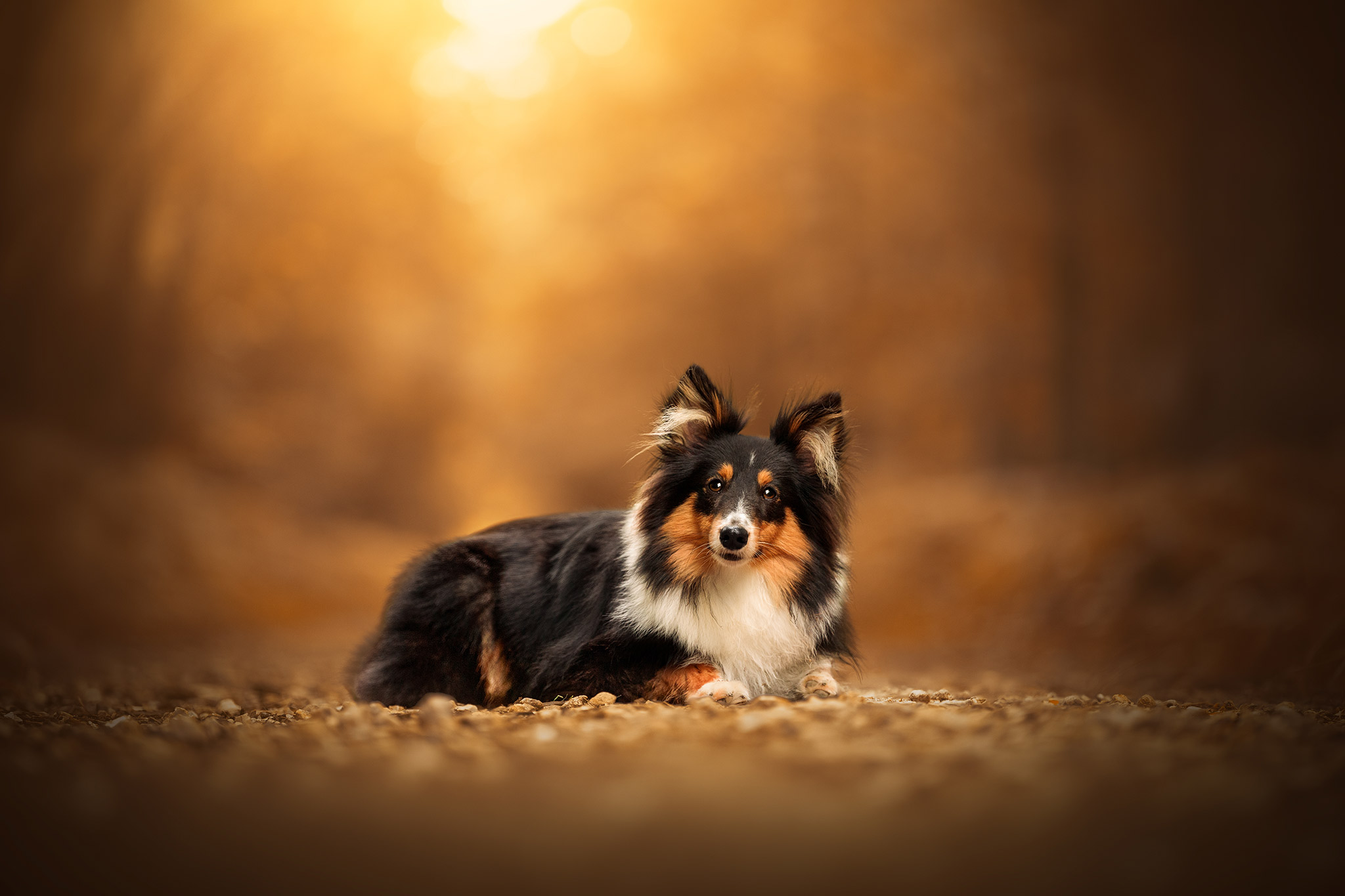 Photo après retouche